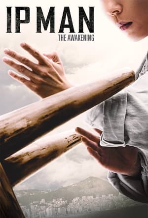 Ip Man: The Awakening 2021 Dual Audio