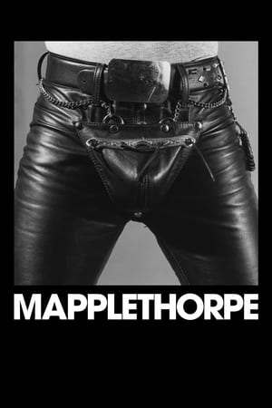 Mapplethorpe 2018 BRRIp