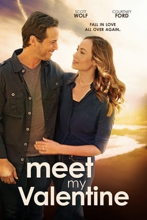 Meet My Valentine 2015 BRRip