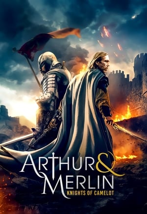 Arthur & Merlin: Knights of Camelot 2020 BRRip