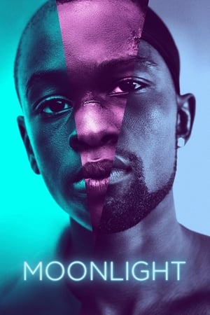 Moonlight 2016 BRRip