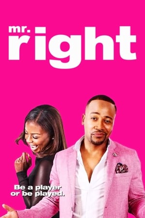 Mr. Right 2015 BRRip