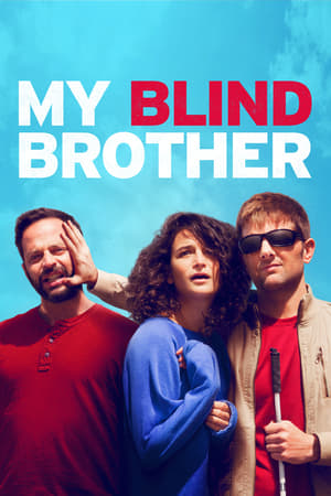 My Blind Brother 2016 BRRip