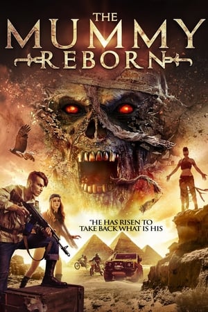 Mummy Reborn 2019 BRRip