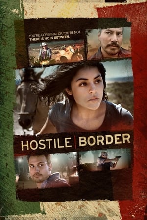Hostile Border 2015 BRRip