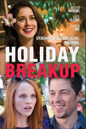Holiday Breakup 2016 BRRip