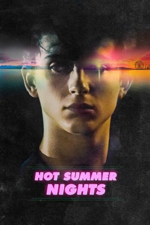 Hot Summer Nights 2017 BRRip