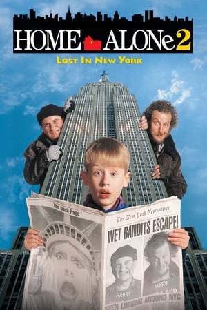 Home Alone 2: Lost in New York 1992 Dual Audio