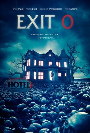 Exit 0 2019 BRRIp