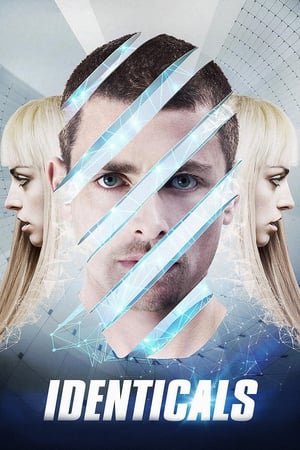 Identicals 2015 BRRip