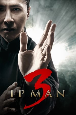 Ip Man 3 2015 BRRip