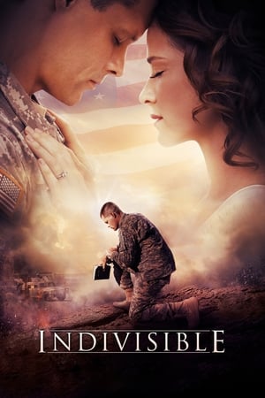 Indivisible 2018 BRRIp