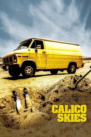 Calico Skies 2017 BRRIp