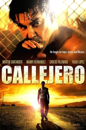 Callejero 2015 BRRIp