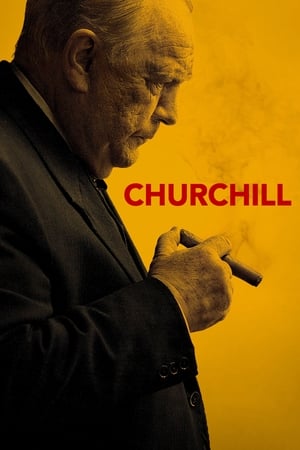 Churchill 2017 BRRIp