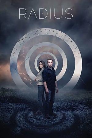 Radius 2017 BRRip