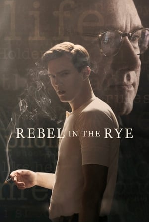 Rebel in the Rye 2017 BRRip