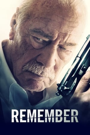 Remember 2015 BRRIp
