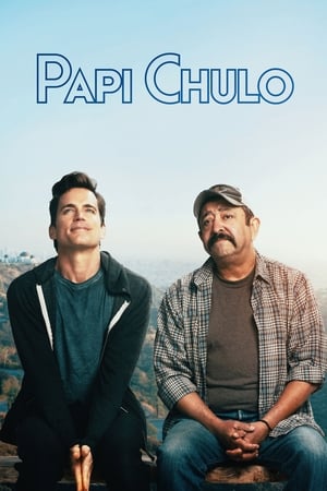 Papi Chulo 2018 BRRip