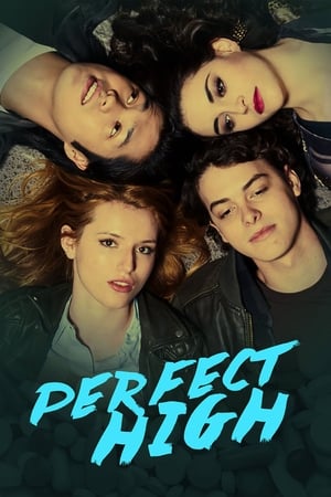 Perfect High 2015 BRRip