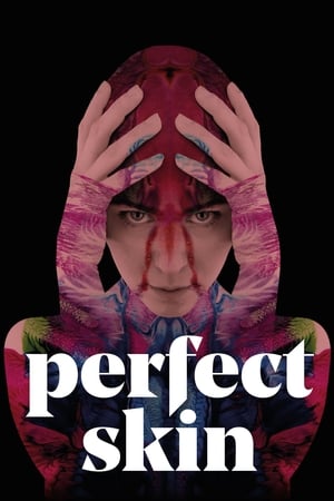 Perfect Skin 2018 BRRip
