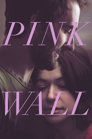 Pink Wall 2019 BRRip