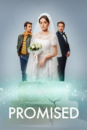 Promised 2019 BRRip