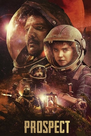 Prospect 2018 BRRip