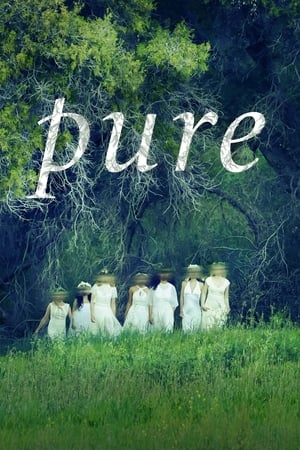 Pure 2019 BRRip