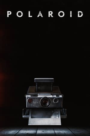 Polaroid 2019 BRRIp