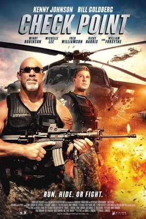 Check Point 2017 BRRIp