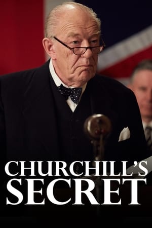 Churchill's Secret 2016 BRRIp