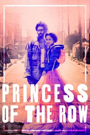 Princess of the Row 2020 BRRip