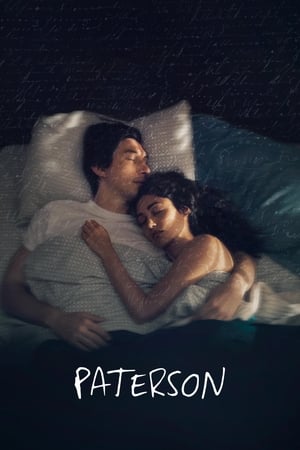 Paterson 2016 BRRip