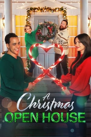 A Christmas Open House 2022 BRRip
