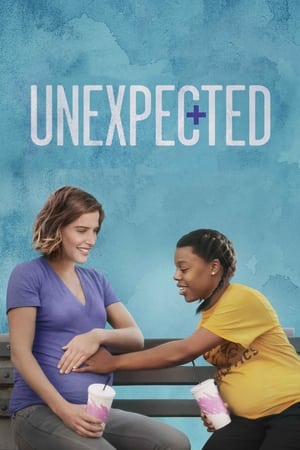 Unexpected 2015 BRRip