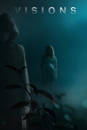 Visions 2015 BRRip