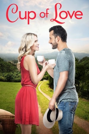 Cup of Love 2016 BRRip