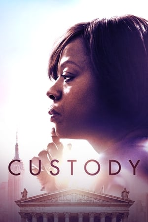 Custody 2016 BRRip
