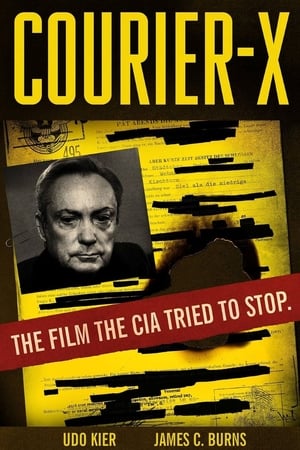 Courier X 2016 BRRip