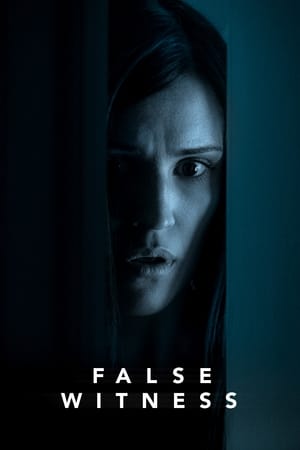 False Witness 2019 BRRip