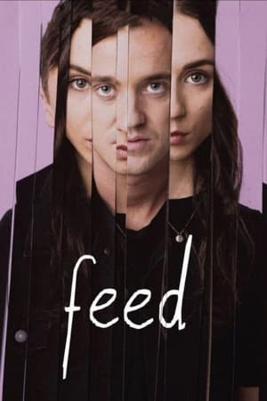 Feed 2017 BRRIp