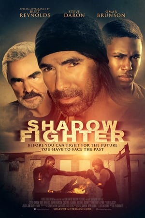 Shadow Fighter 2018 BRRip