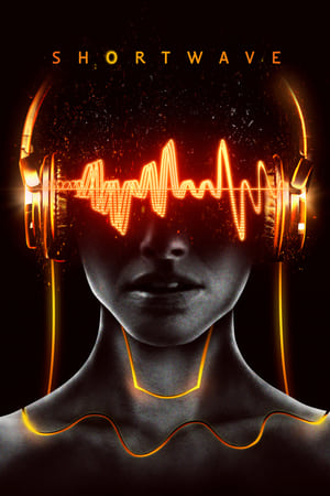 Shortwave 2016 BRRip