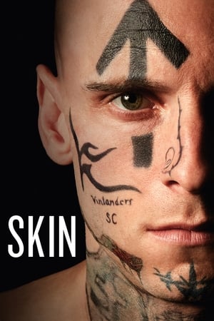 Skin 2018 BRRIp
