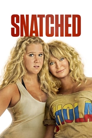 Snatched 2017 BRRIp