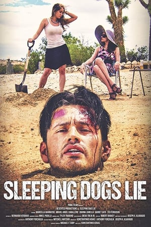 Sleeping Dogs Lie 2018 BRRip