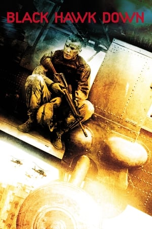 Black Hawk Down 2001 Dual Audio