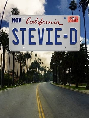 Stevie D 2016 BRRIp