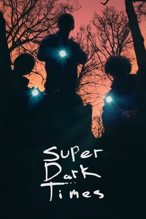 Super Dark Times 2017 BRRIp